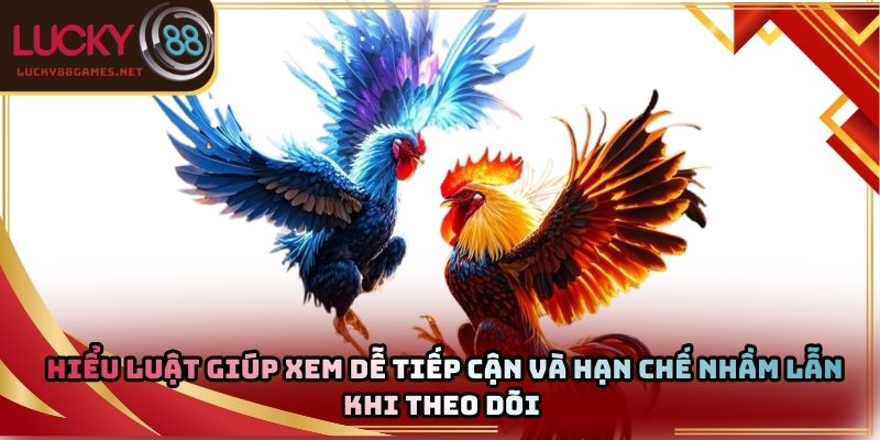Hiểu luật giúp xem dễ tiếp cận và hạn chế nhầm lẫn khi theo dõi 